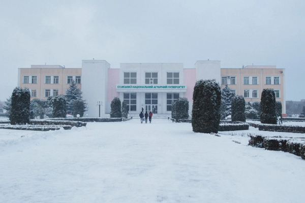 Звиклі до ризиків