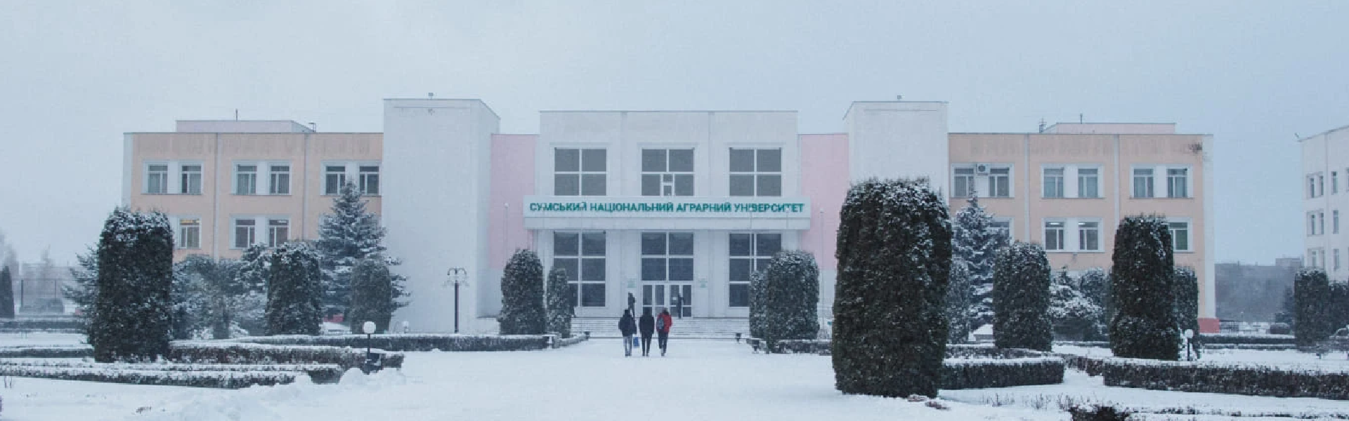 Звиклі до ризиків