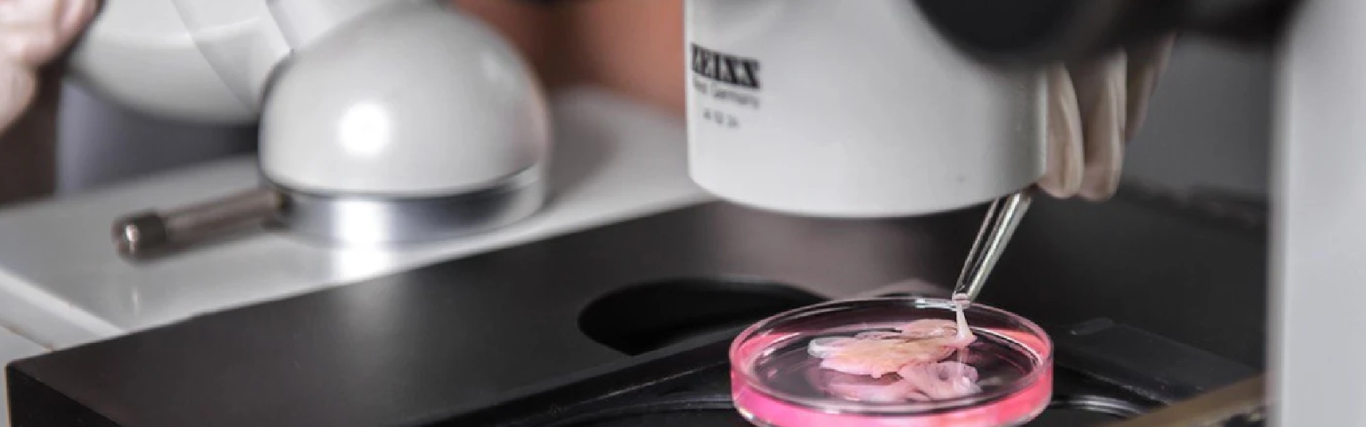 Банк людського тіла і нелюдська війна: Інститут клітинної біореабілітації