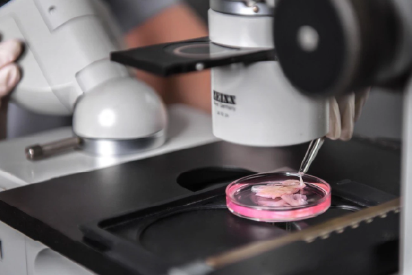 Банк людського тіла і нелюдська війна: Інститут клітинної біореабілітації