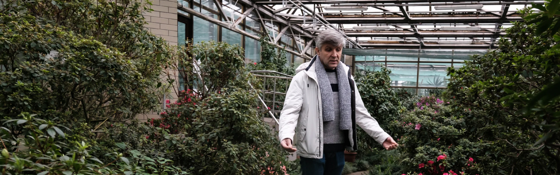 How the Botanical Garden Works During the War