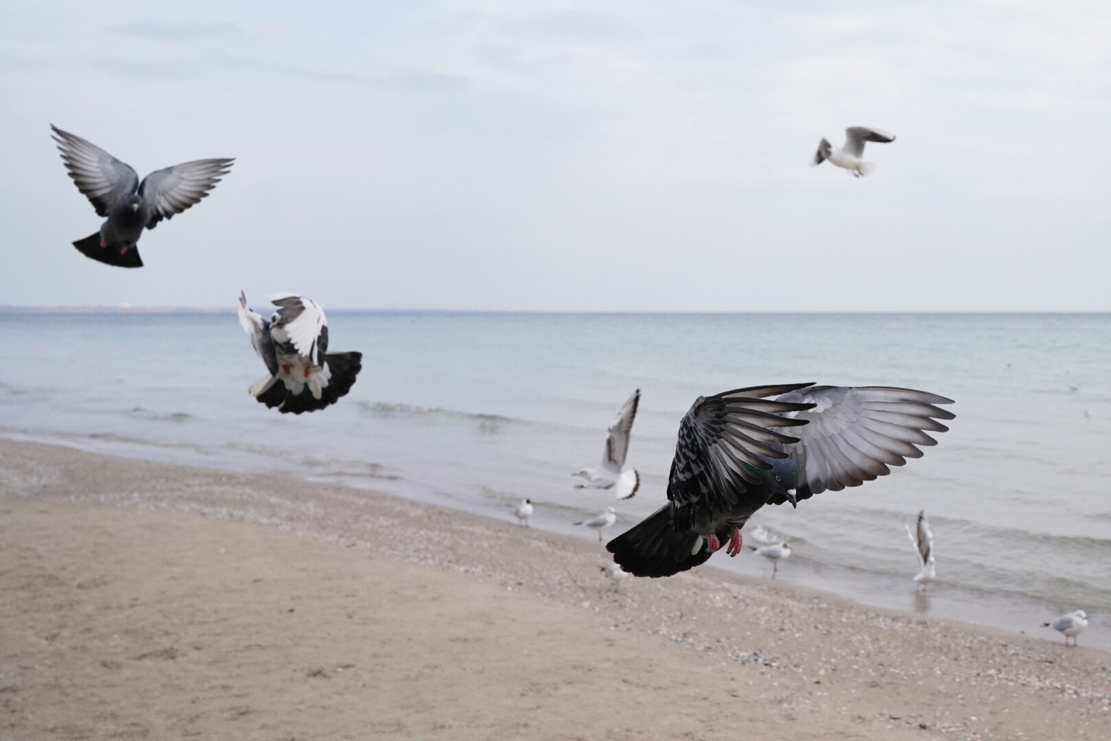 Війна і море