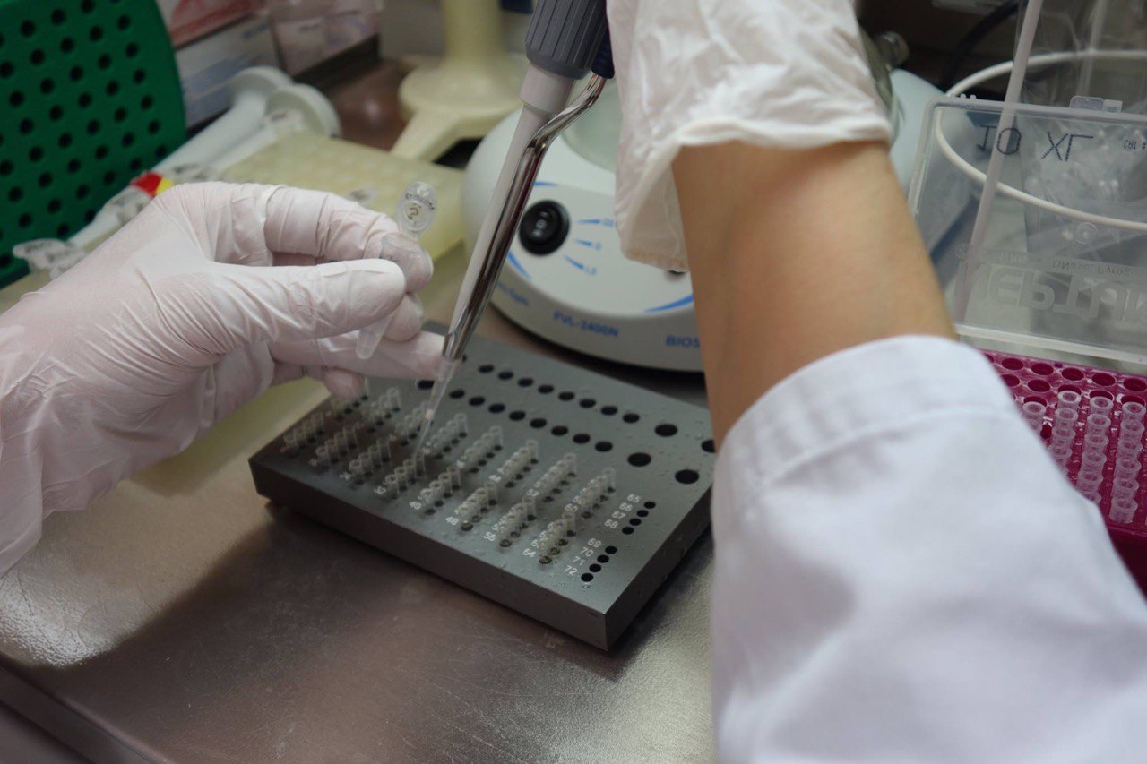 Банк людського тіла і нелюдська війна: Інститут клітинної біореабілітації №6