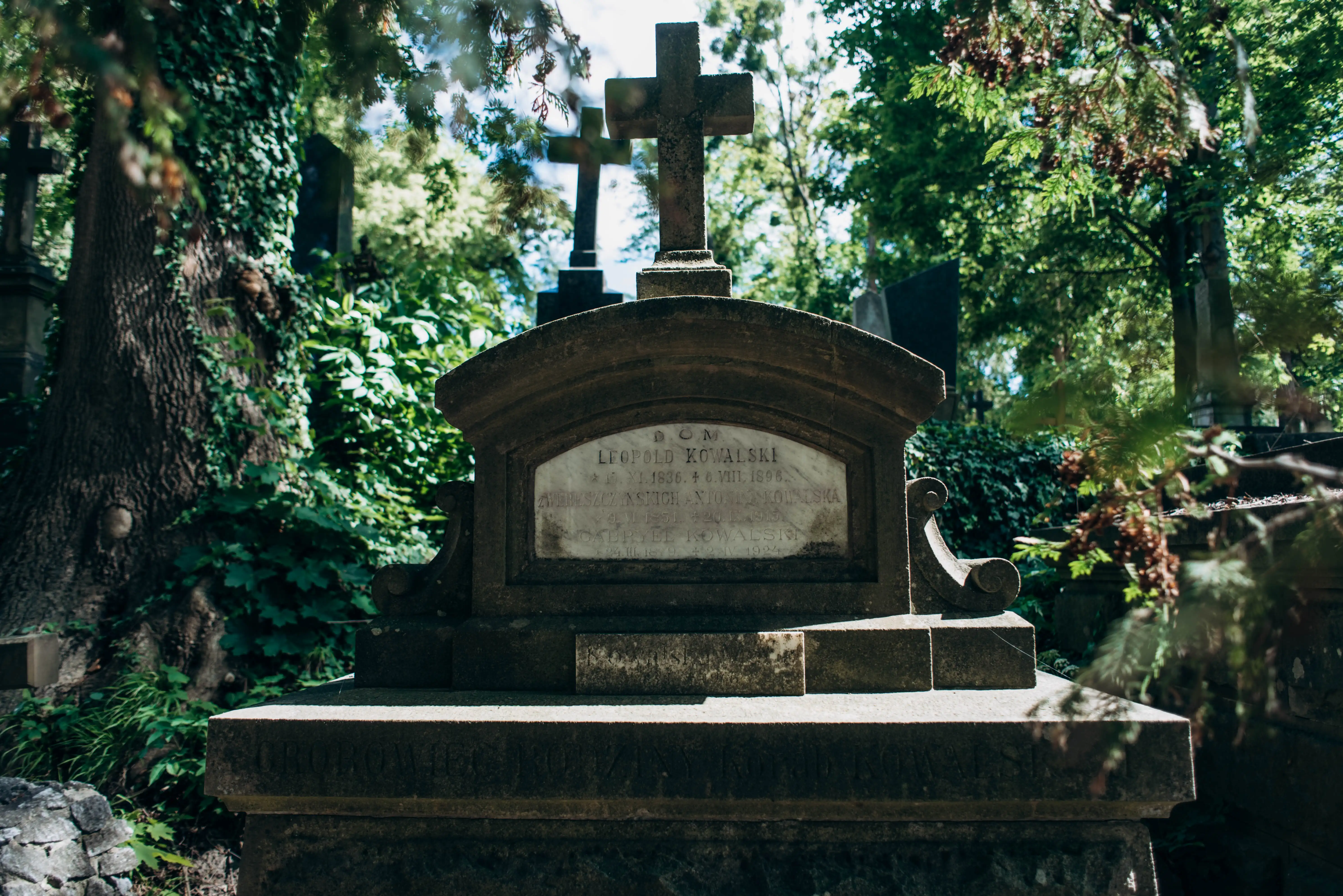 Uncovered Graves. How Lviv restores its memory about the school of mathematics №2