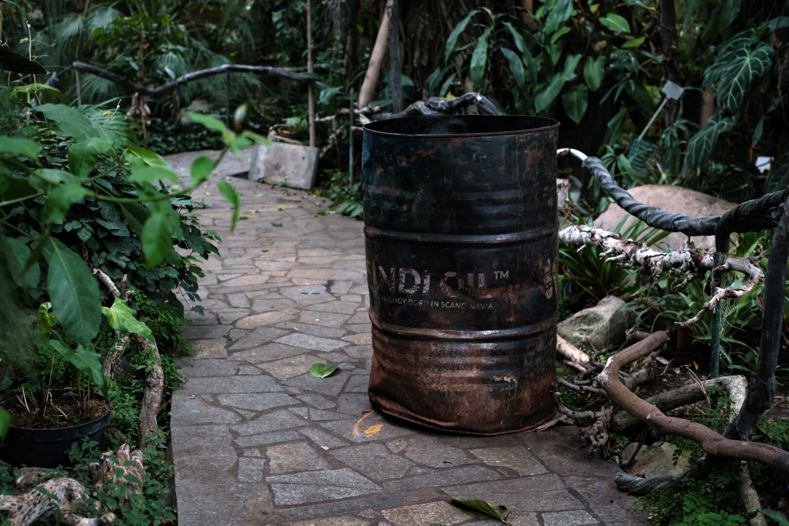 How the Botanical Garden Works During the War №8