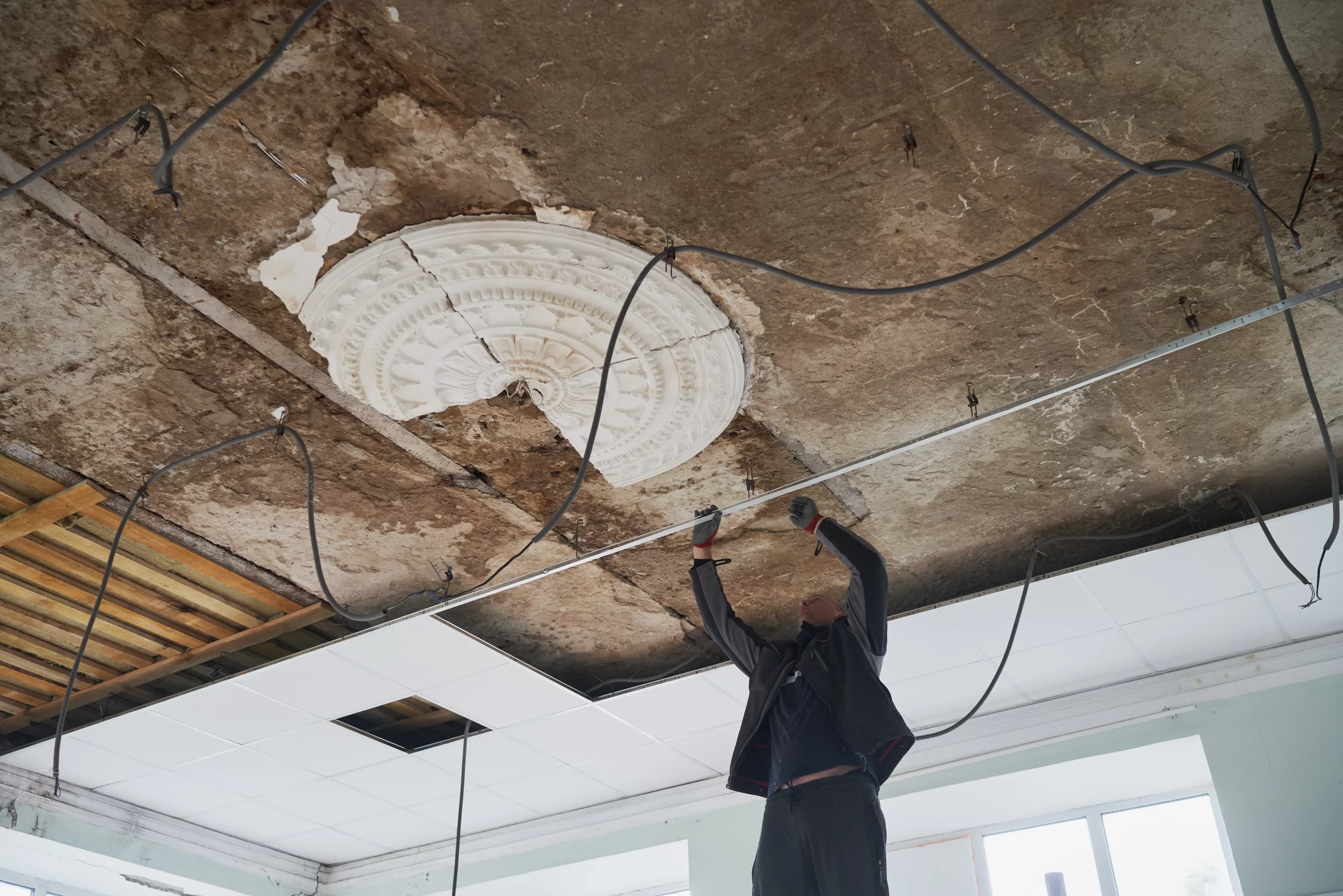 Strategic Object “Library” №5