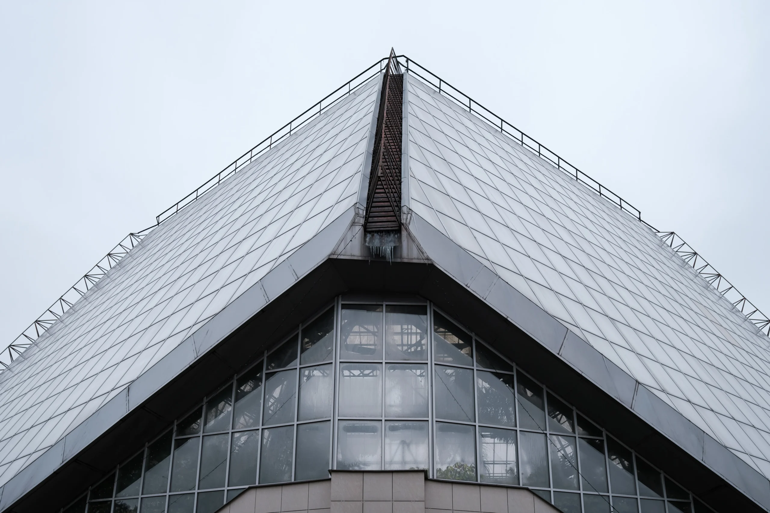 Зима у тропіках. Як ботанічний сад працює під час війни №1