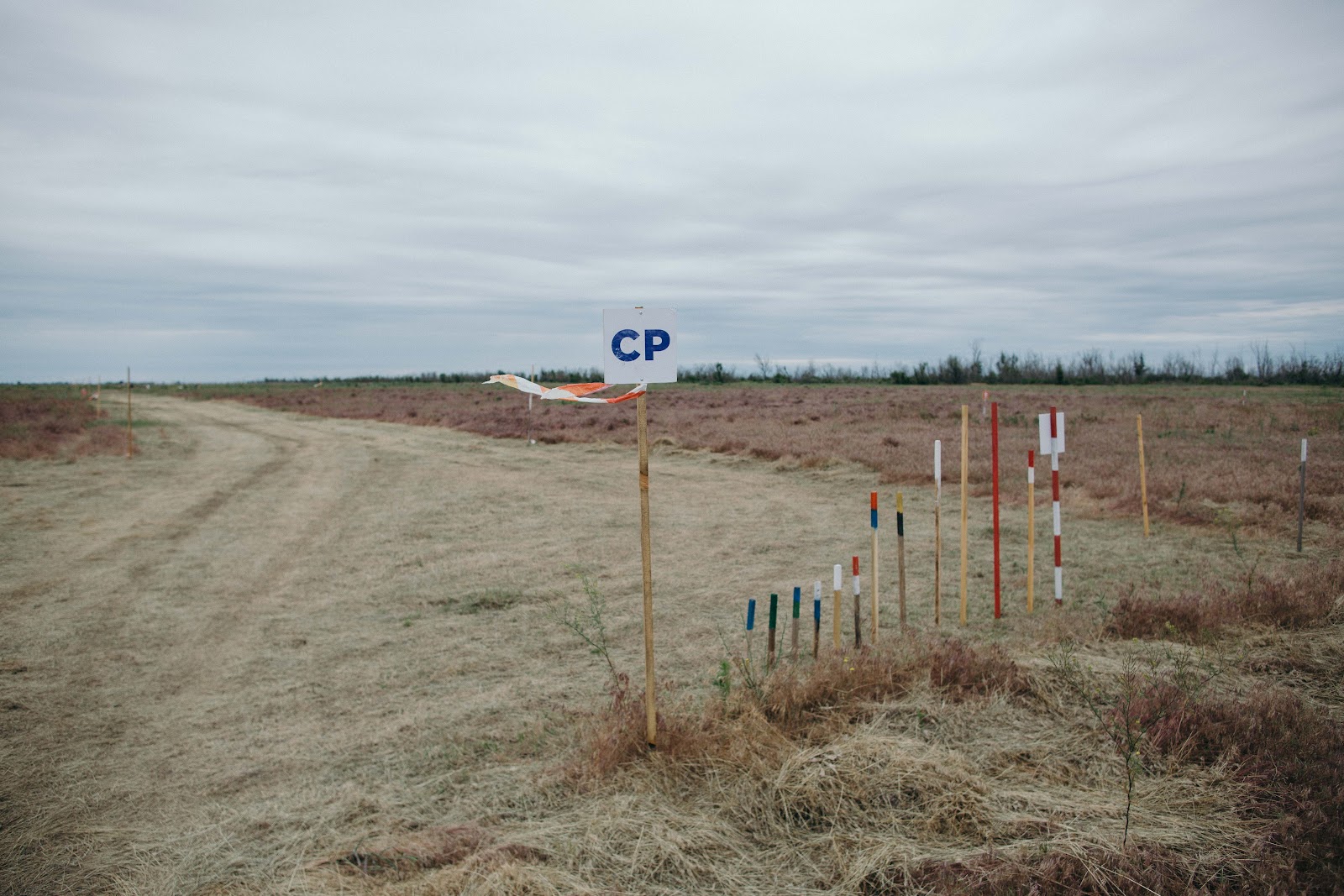 “We will sow wheat and grow bread”: pitfalls of humanitarian demining in Ukraine №24