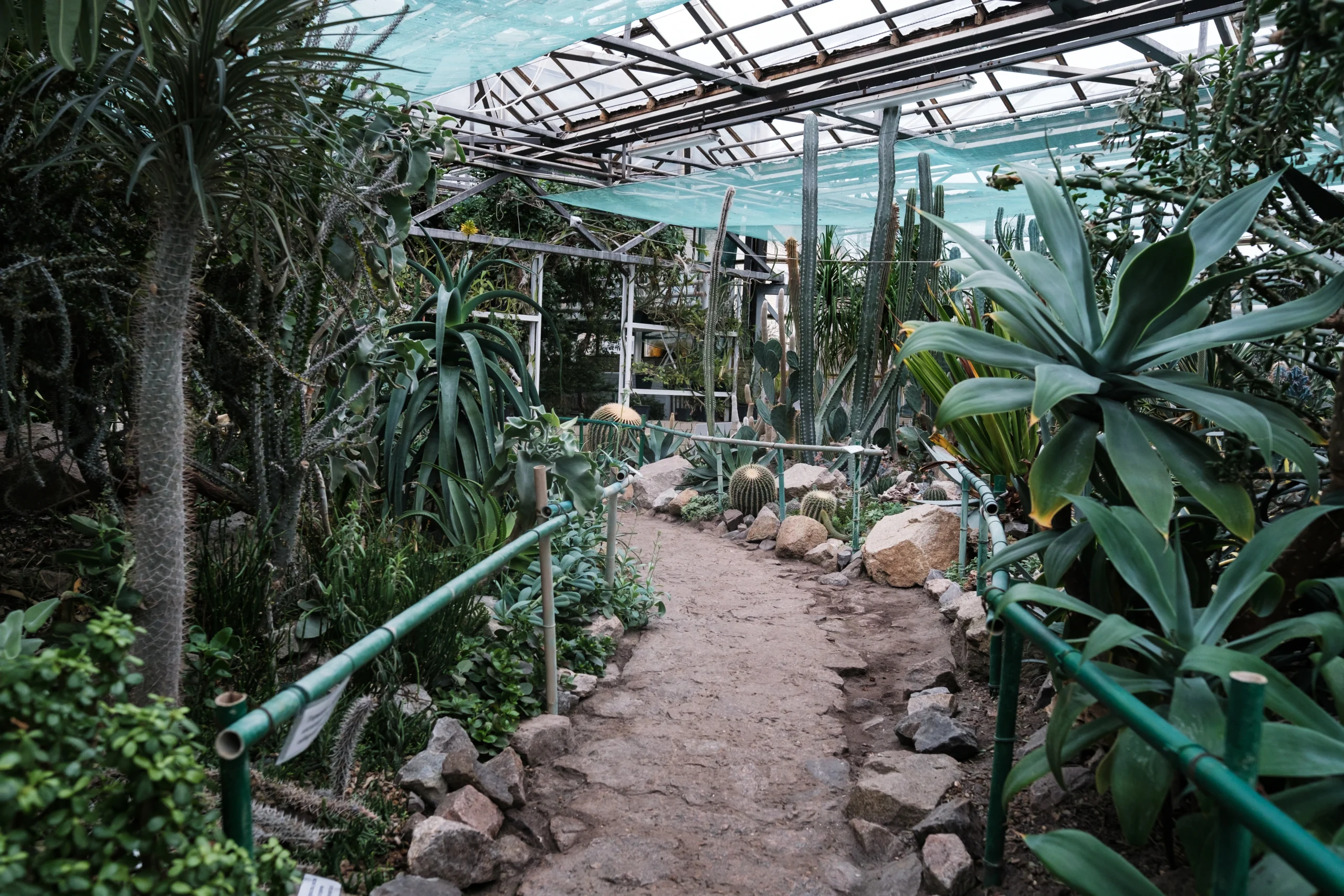 How the Botanical Garden Works During the War №11