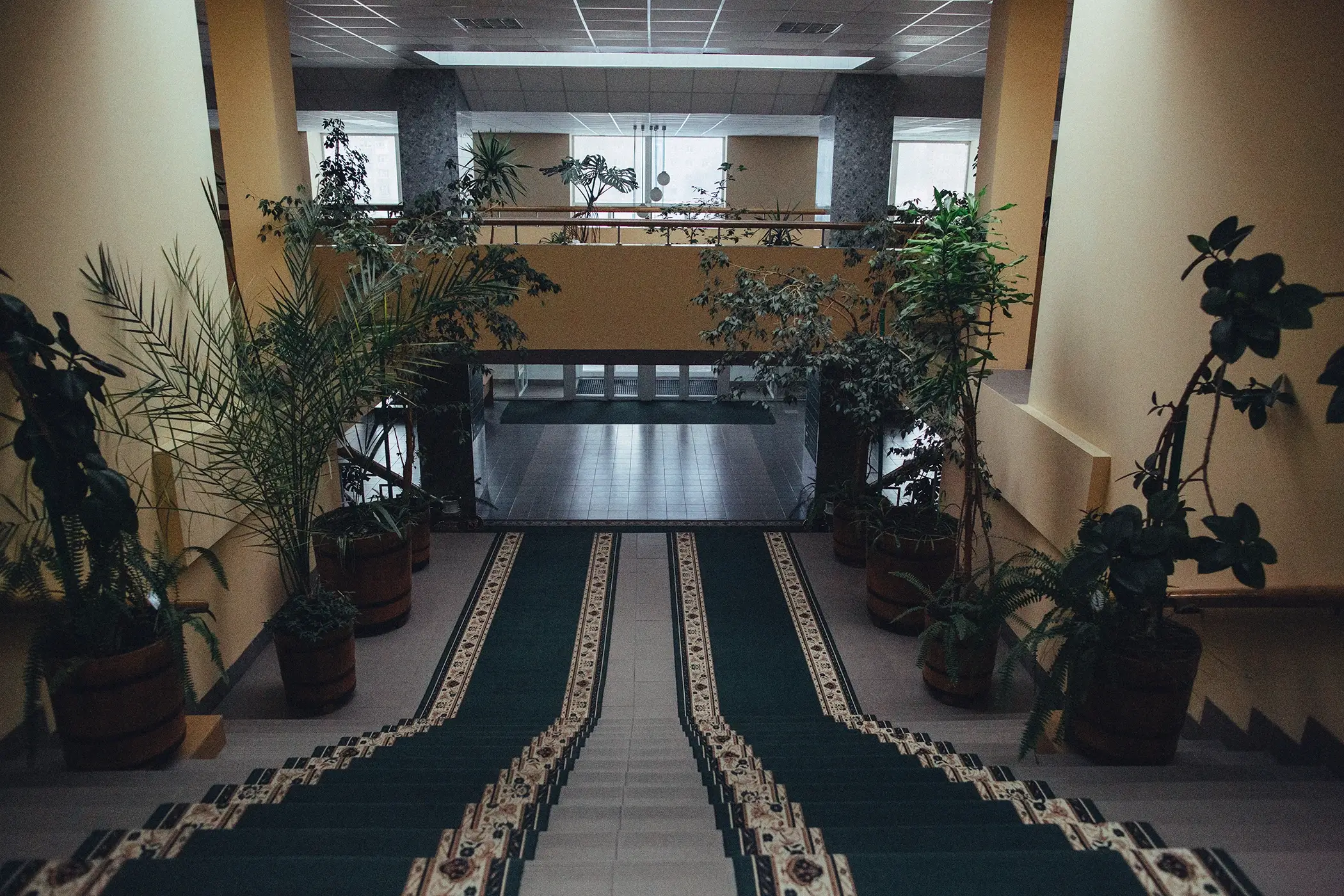 Звиклі до ризиків №2