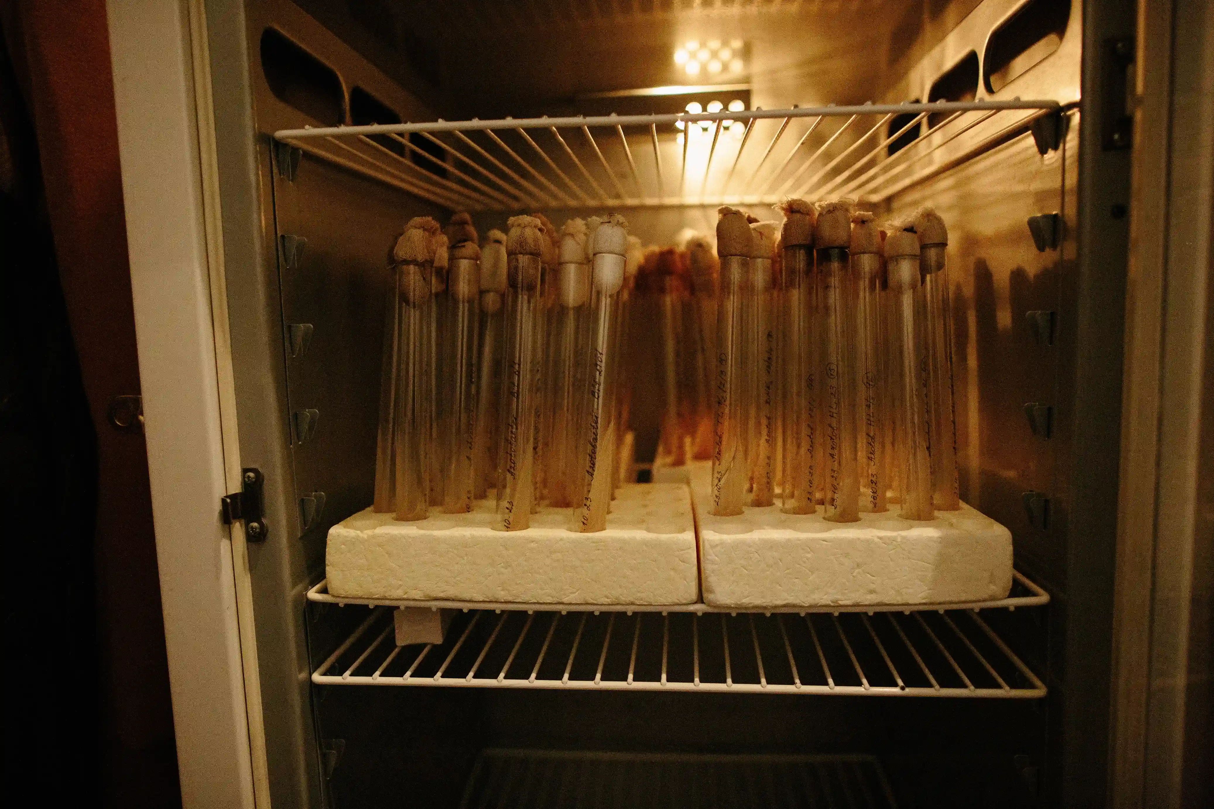 Пробірки в графському маєтку №9