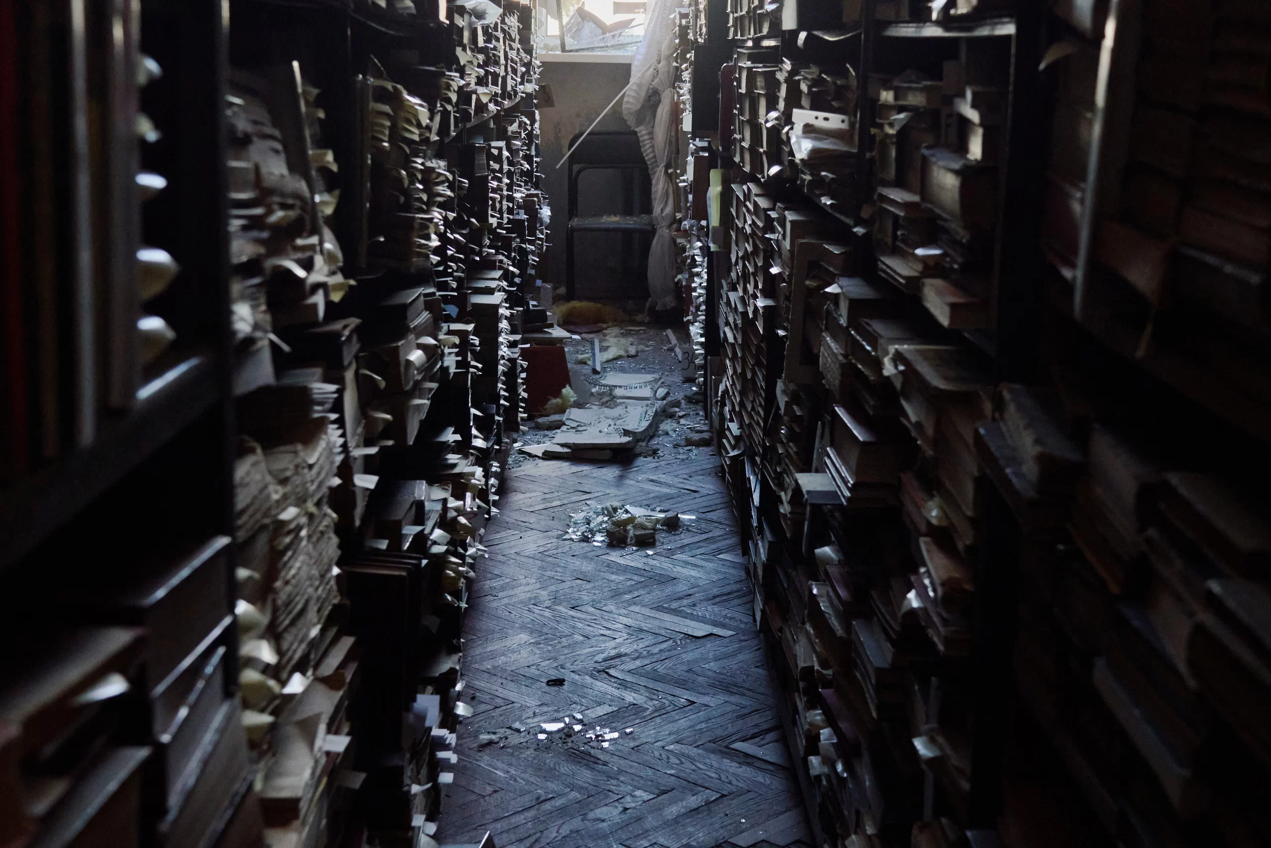 Діалог з Максимовичем №4