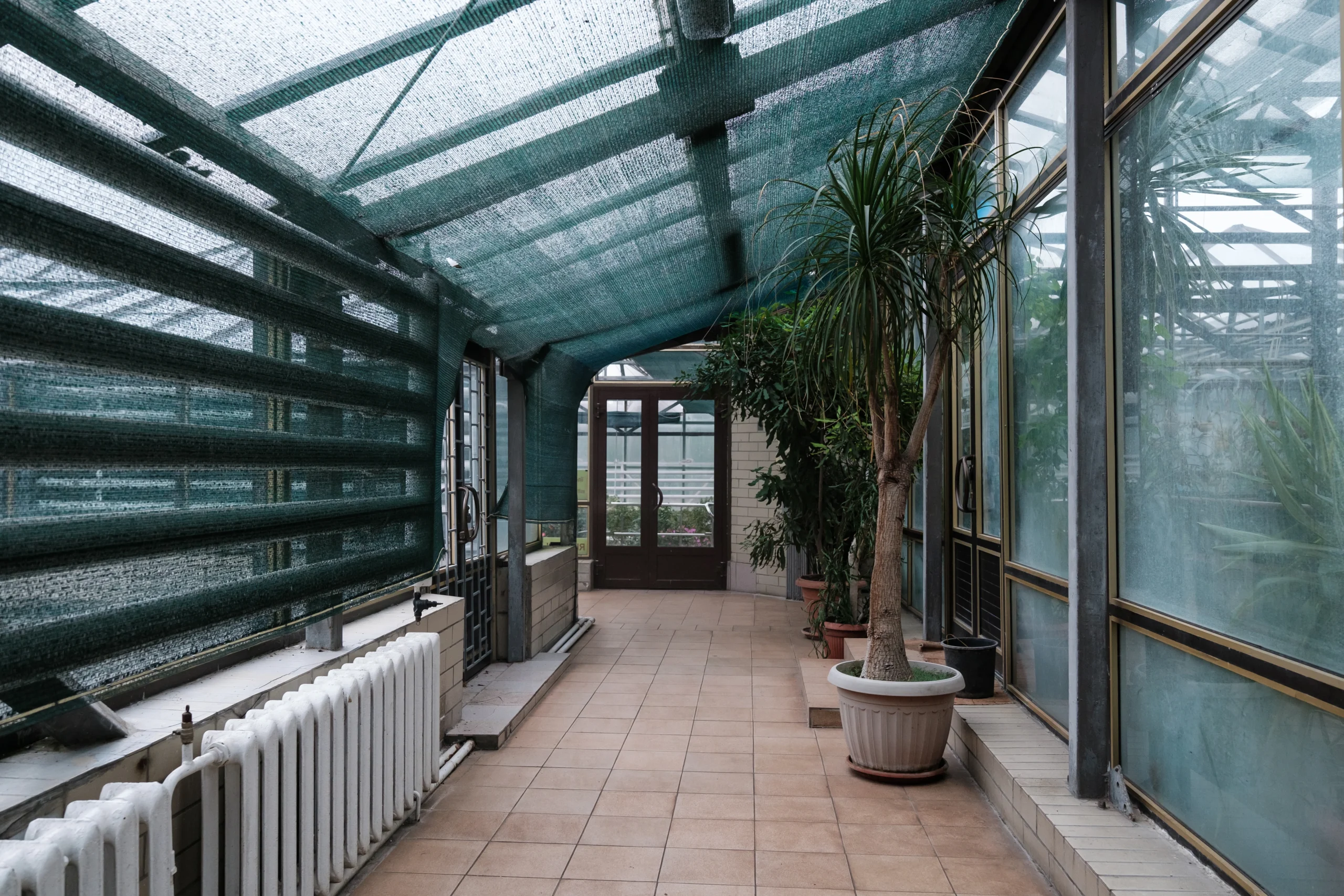 How the Botanical Garden Works During the War №12