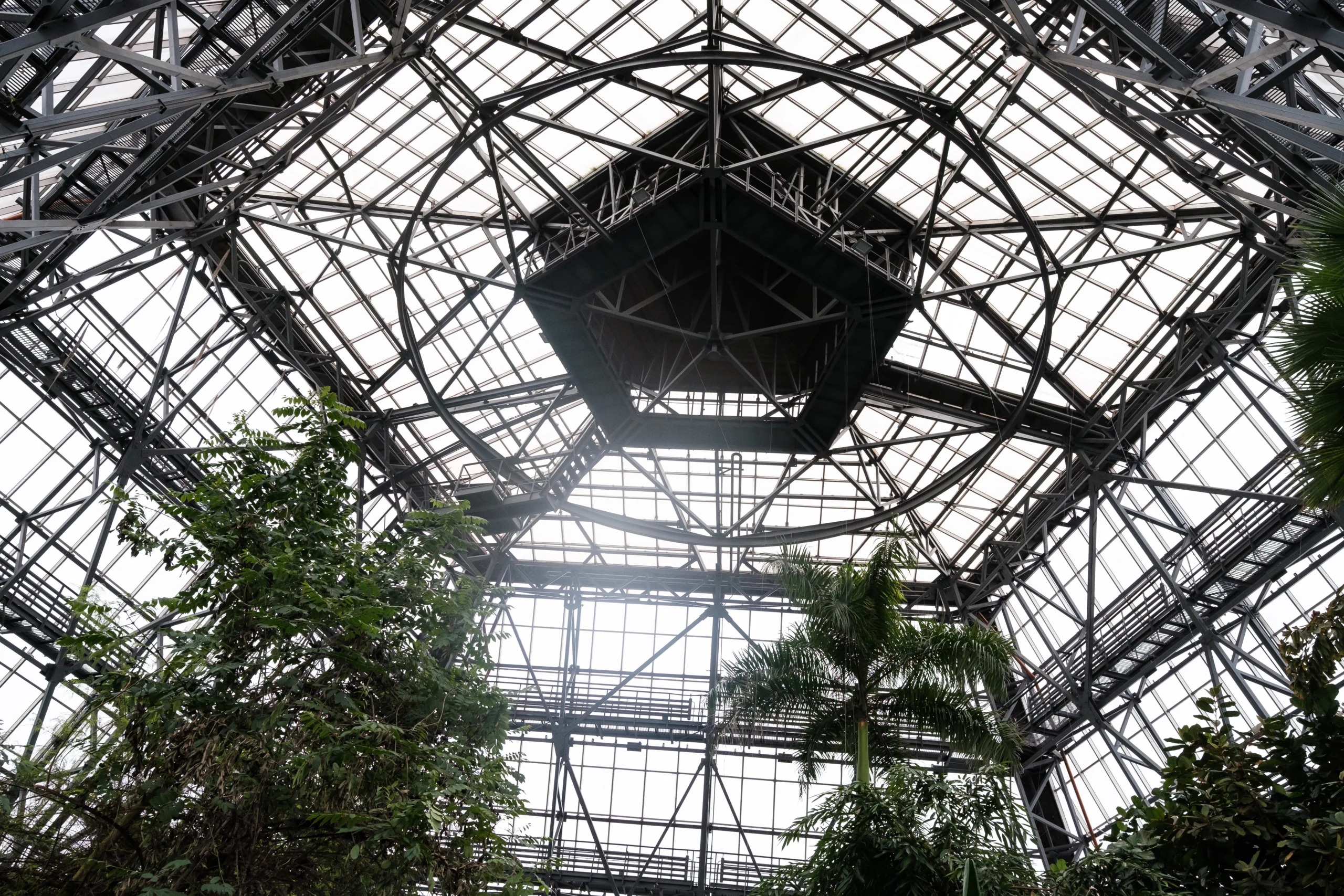 How the Botanical Garden Works During the War №6