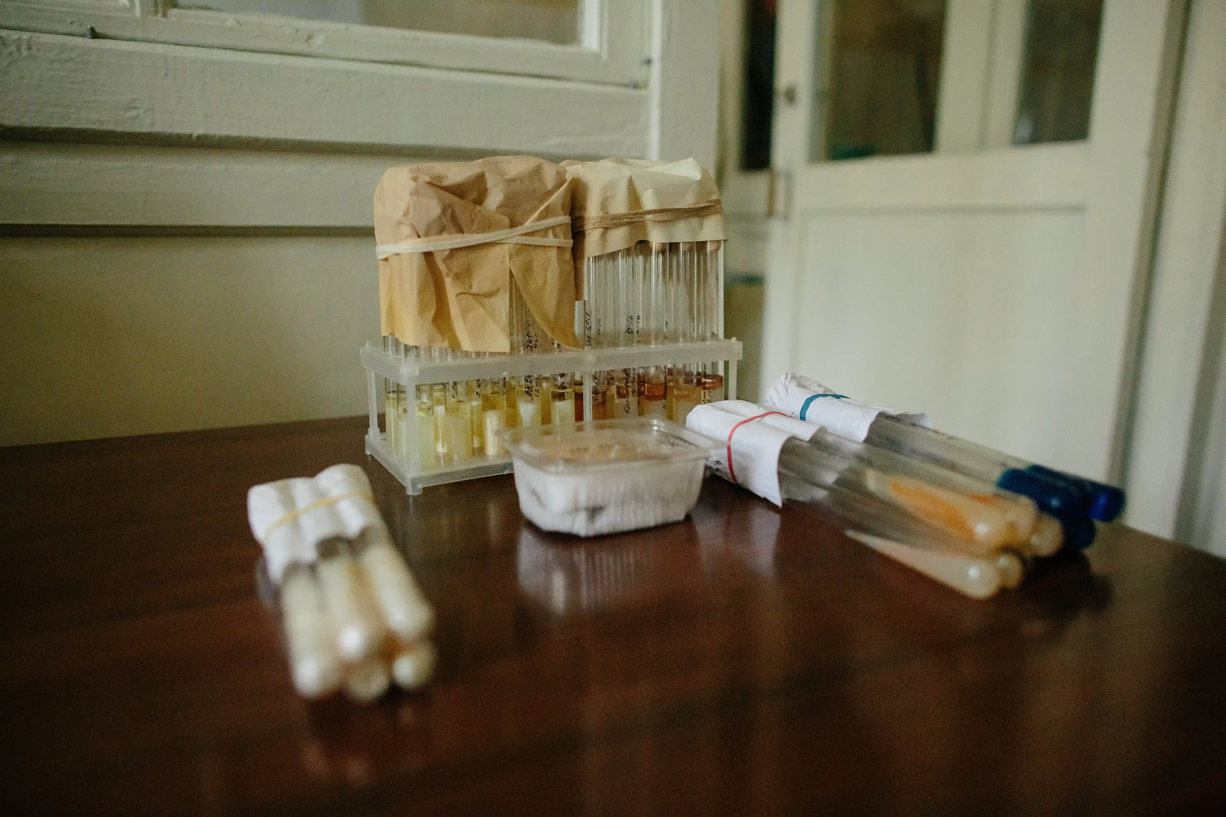 Пробірки в графському маєтку №12