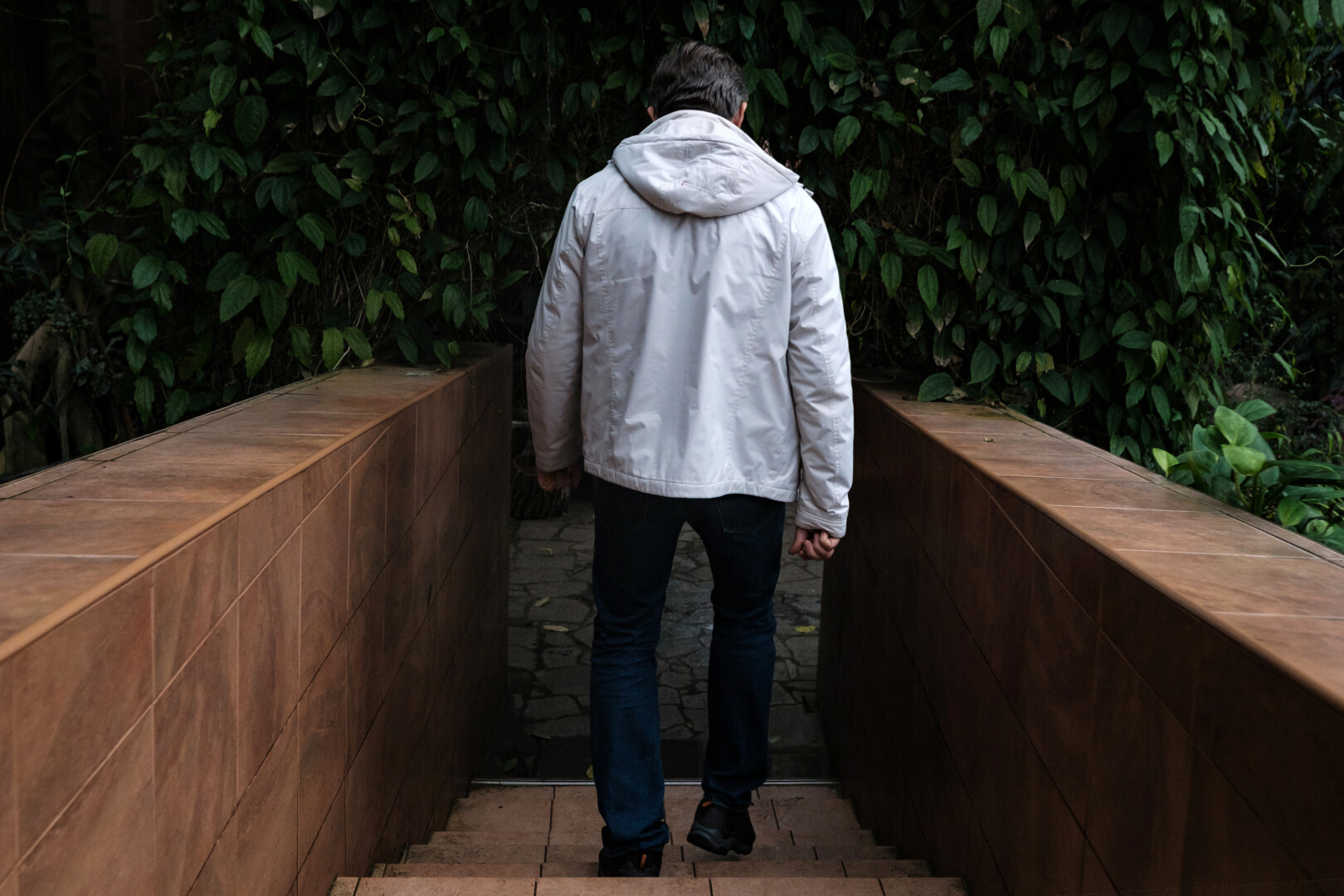 Зима у тропіках. Як ботанічний сад працює під час війни №15