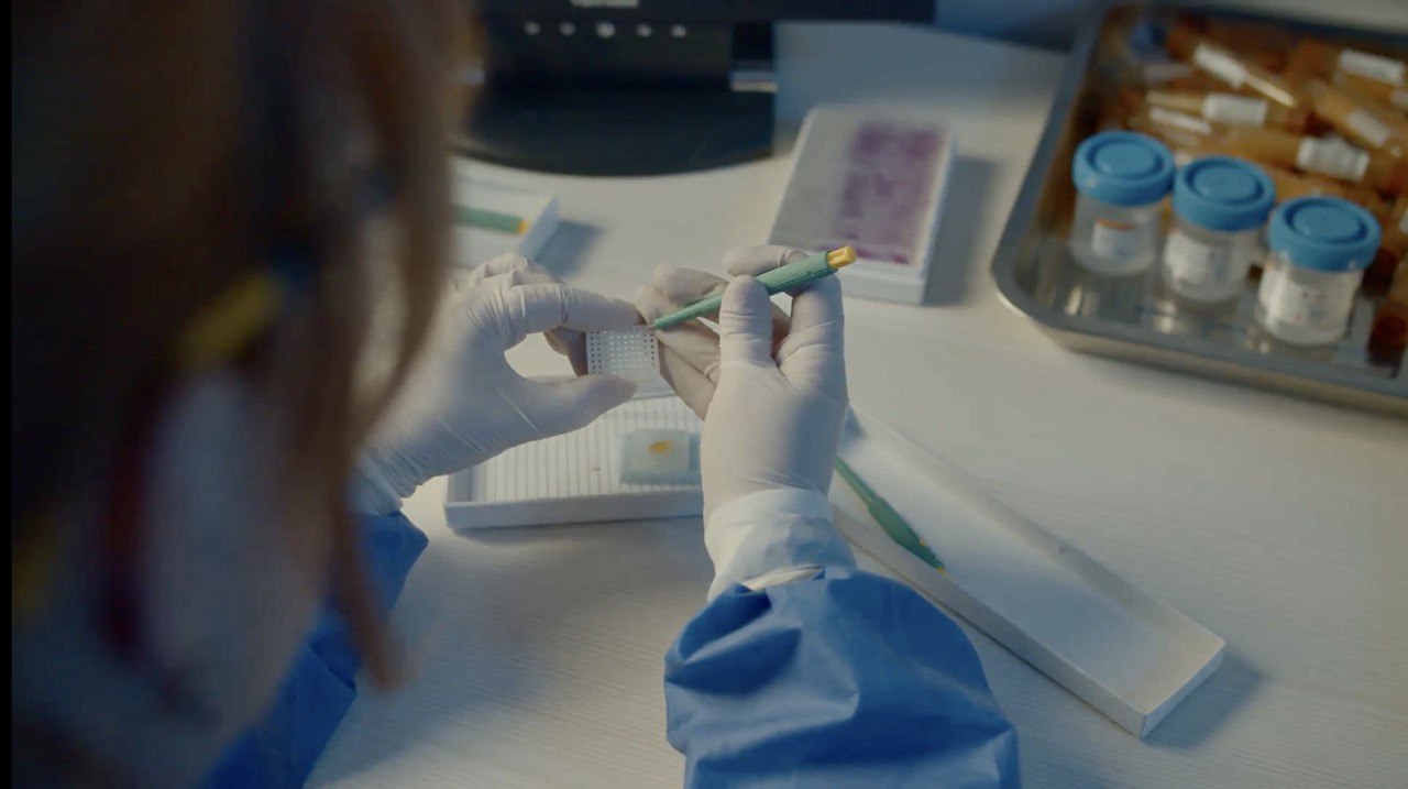 Банк людського тіла і нелюдська війна: Інститут клітинної біореабілітації №7