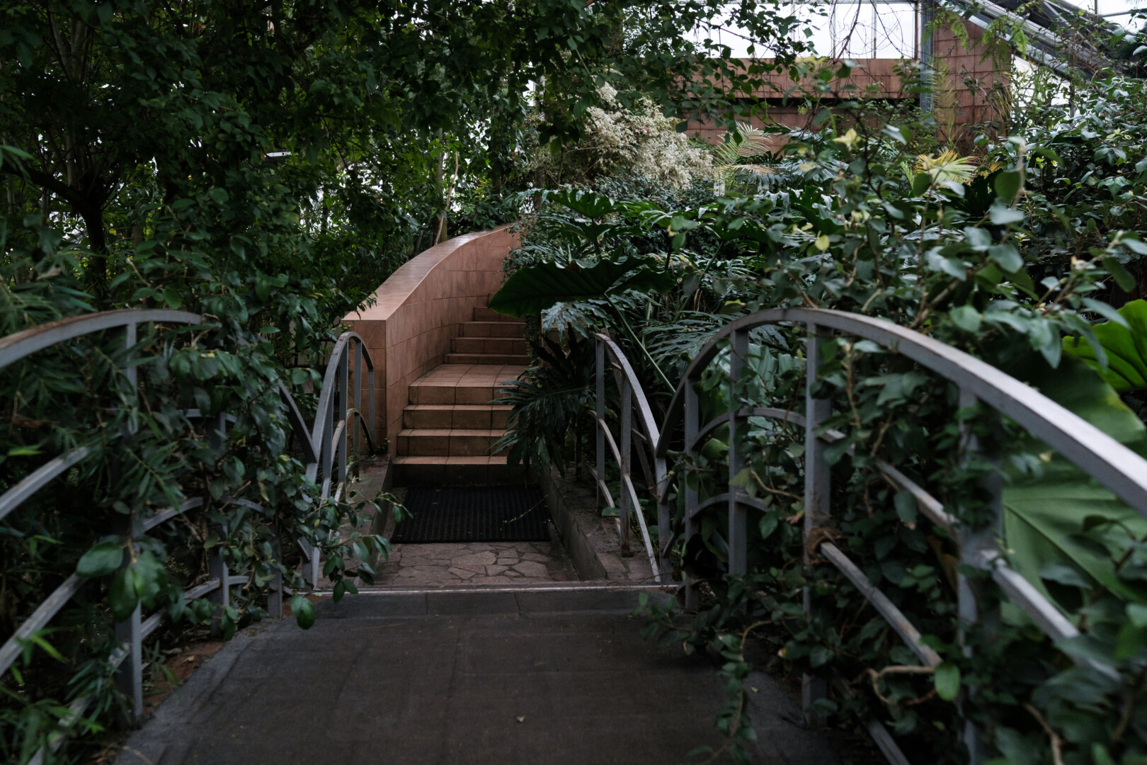 How the Botanical Garden Works During the War №3