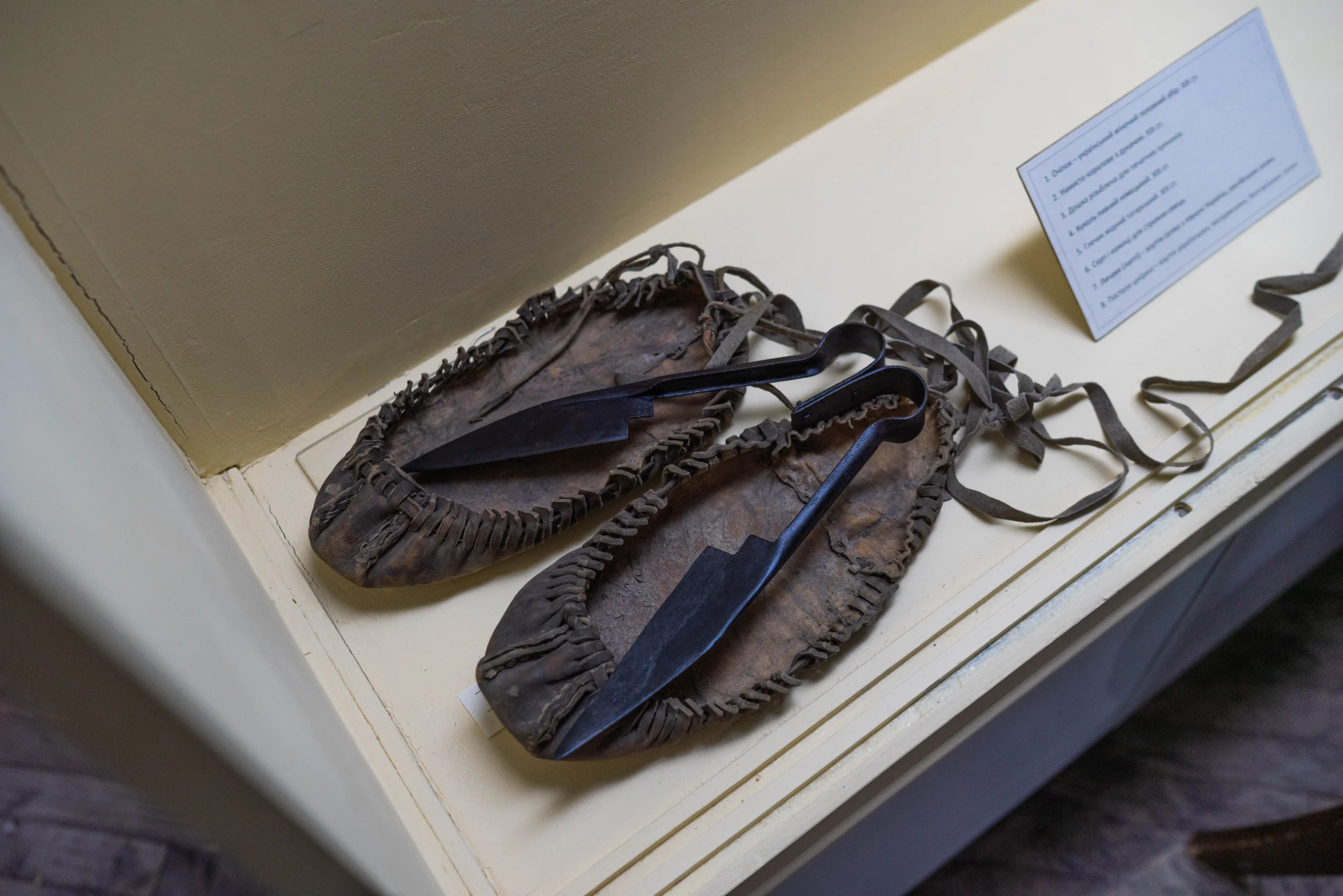 Викрадений музей. Херсон №7